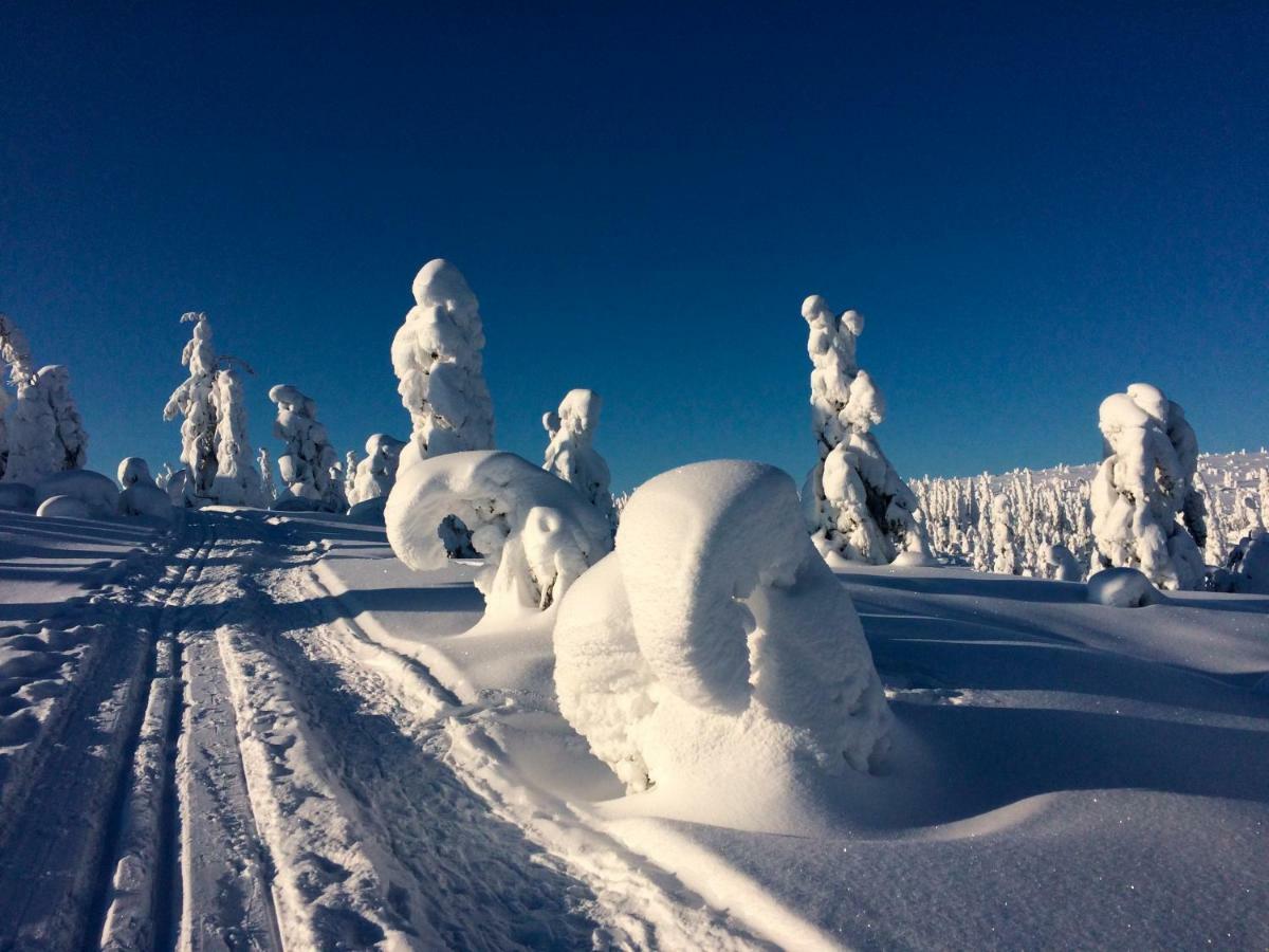 Hotel Club Kuusamon Tropiikki Kuusamo